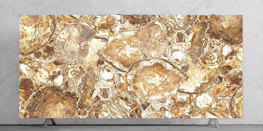 Beige Petrified Wood Closeup