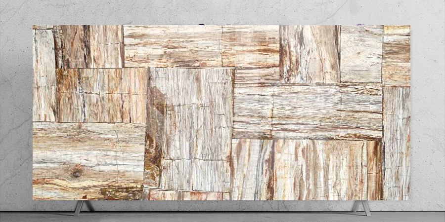 Beige Petrified Wood Retro Closeup