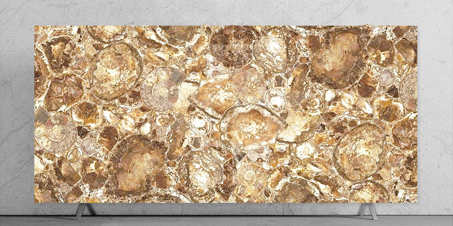 Beige Petrified Wood