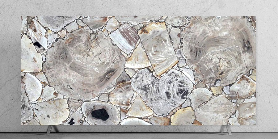 White Petrified Wood Slab Backlit