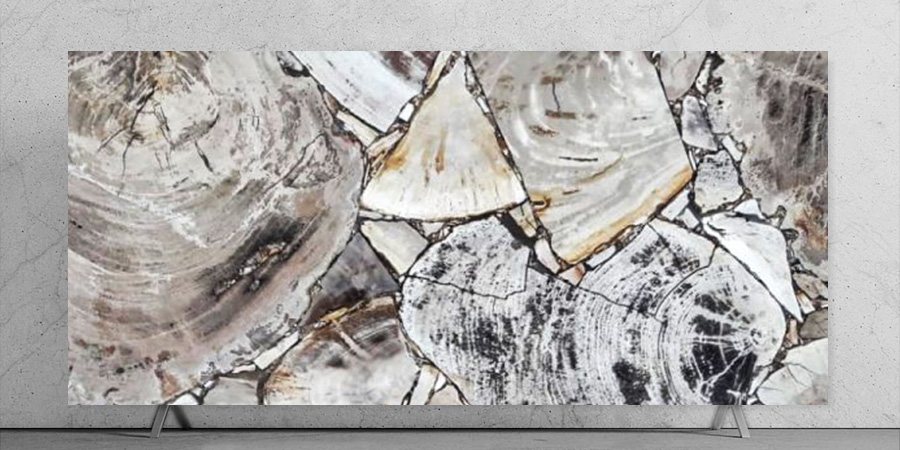 White Petrified Wood Slab Closeup