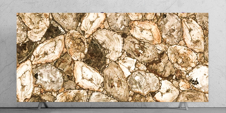 White Petrified Wood Retro Slab Backlit