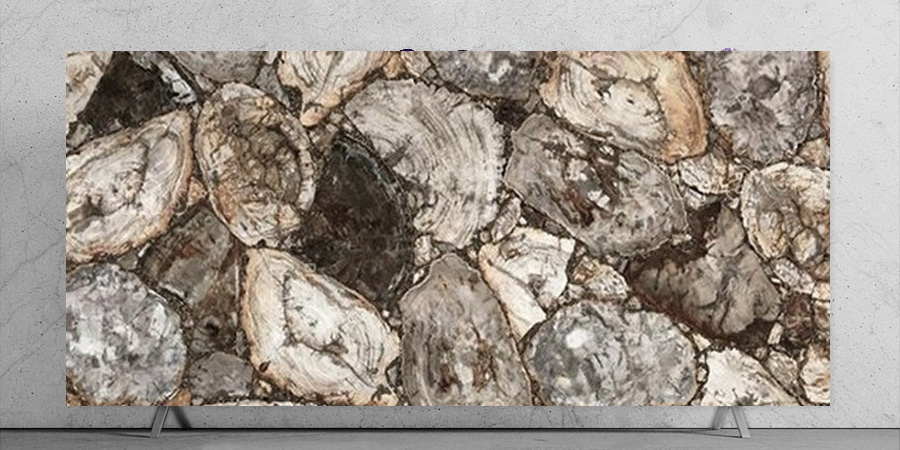 White Petrified Wood Retro Slab Closeup